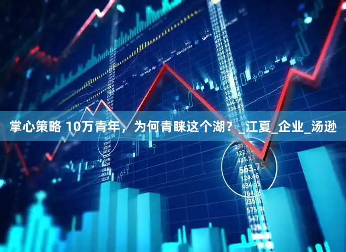 掌心策略 10万青年，为何青睐这个湖？_江夏_企业_汤逊